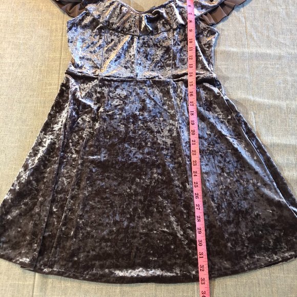 American Eagle Crushed Velvet Dress - Picture 5 of 9